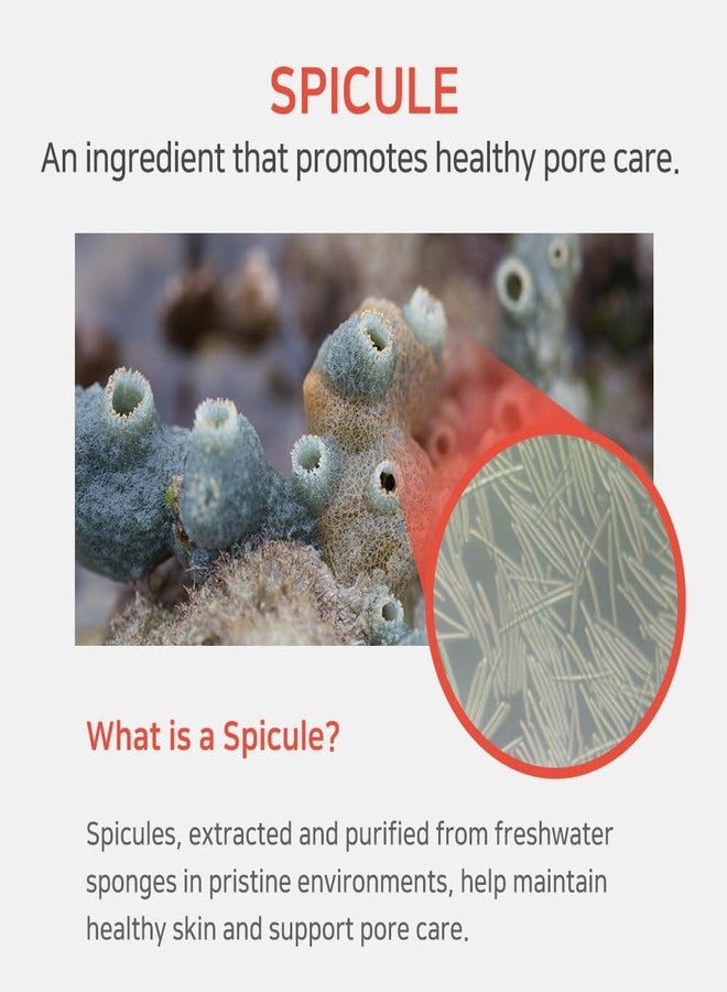 ايه بي ال بي سيروم فيتامين سي شوت 220 من APLB Spicule | SPICULE VITA SHOT™ 220، 1.35 أونصة سائلة / عناية بالبشرة الكورية، تقشير لطيف، بقع داكنة، ترطيب يدوم طويلاً، ينعش البشرة بلطف ويحسن ملمسها - Image 5